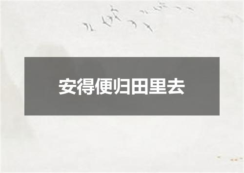 安得便归田里去