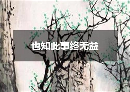 也知此事终无益