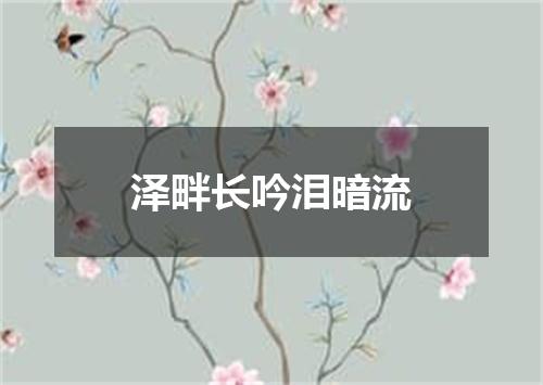 泽畔长吟泪暗流