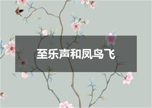 至乐声和凤鸟飞