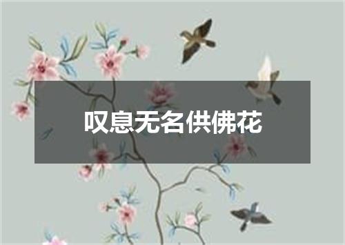 叹息无名供佛花