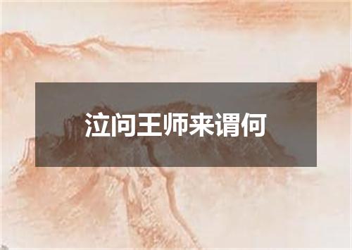 泣问王师来谓何