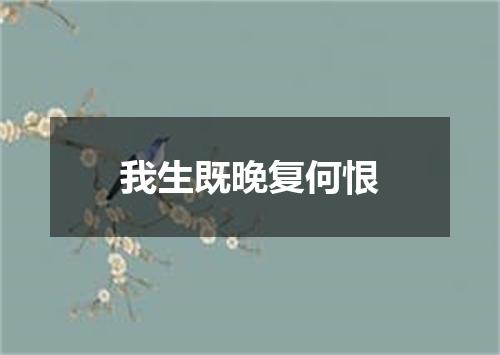 我生既晚复何恨