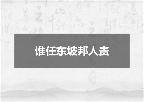 谁任东坡邦人责