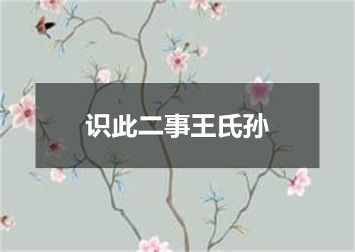 识此二事王氏孙