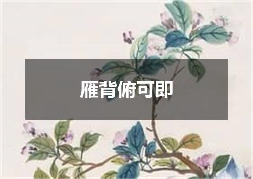 雁背俯可即