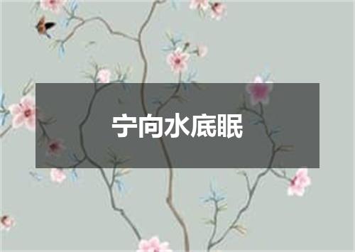 宁向水底眠