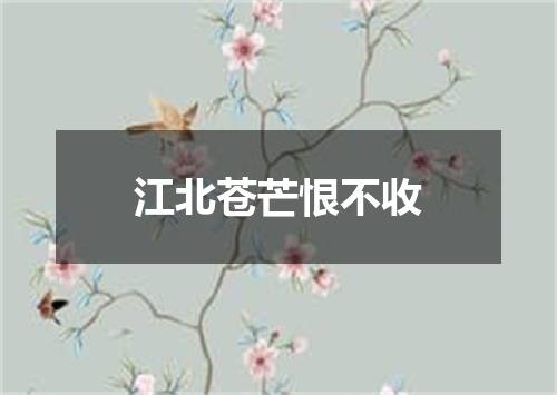 江北苍芒恨不收