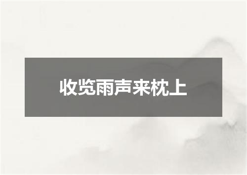 收览雨声来枕上