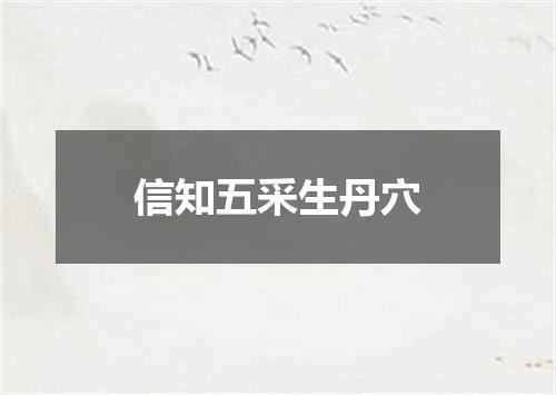 信知五采生丹穴