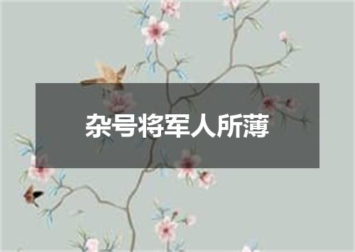 杂号将军人所薄