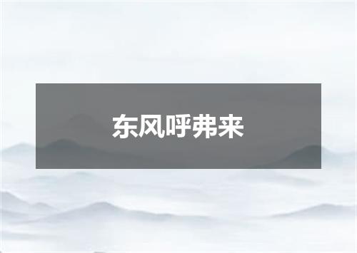 东风呼弗来