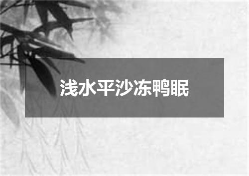 浅水平沙冻鸭眠