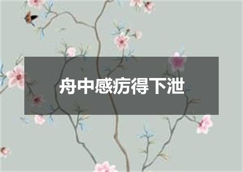 舟中感疠得下泄