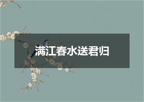 满江春水送君归