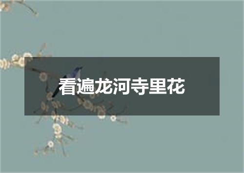 看遍龙河寺里花