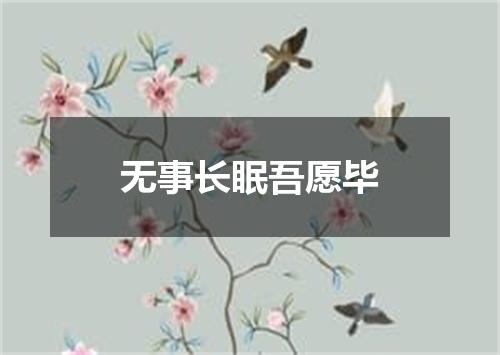 无事长眠吾愿毕