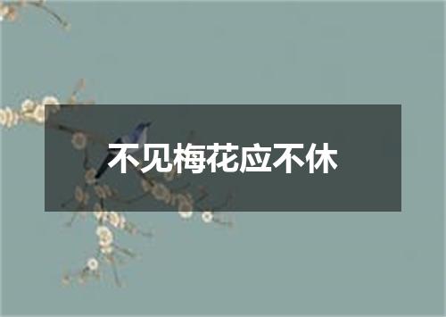 不见梅花应不休