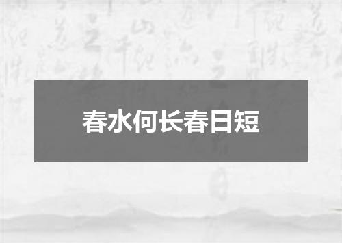 春水何长春日短