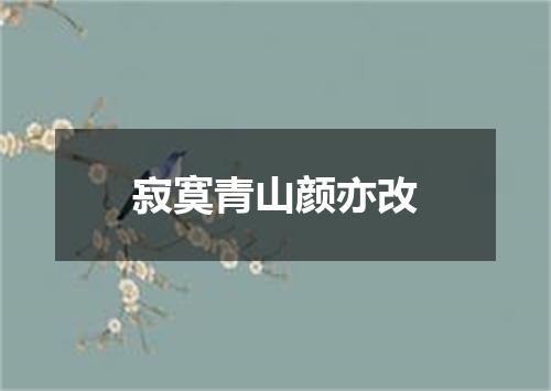 寂寞青山颜亦改