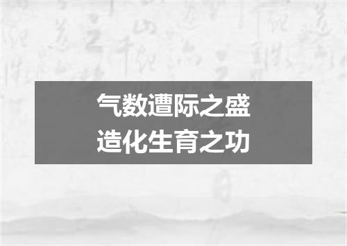 气数遭际之盛造化生育之功