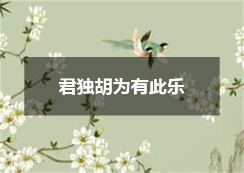 君独胡为有此乐