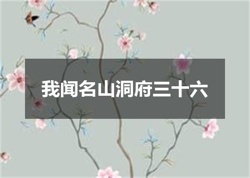 我闻名山洞府三十六