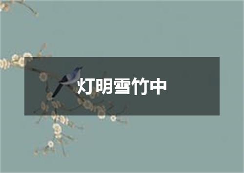 灯明雪竹中