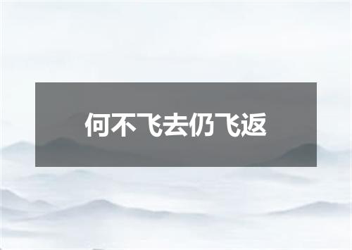 何不飞去仍飞返