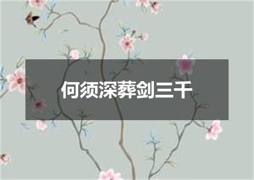 何须深葬剑三千