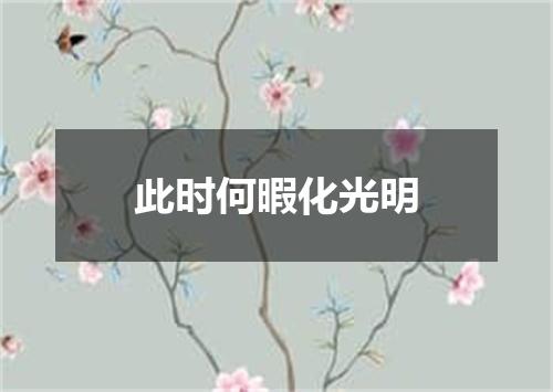 此时何暇化光明