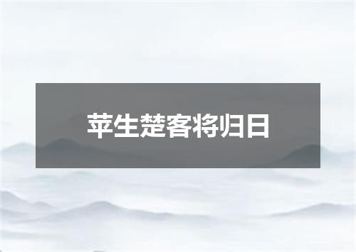 苹生楚客将归日