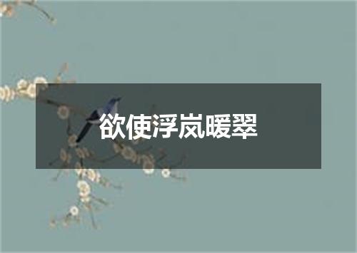 欲使浮岚暖翠