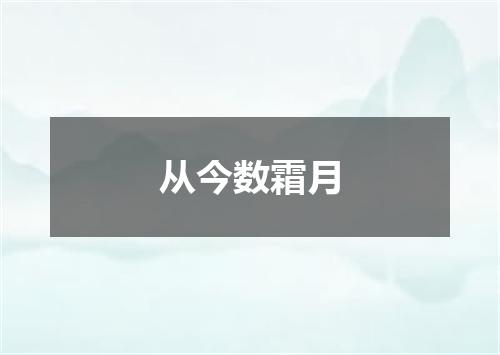 从今数霜月