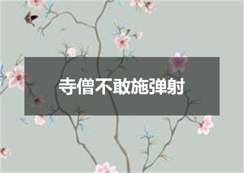 寺僧不敢施弹射