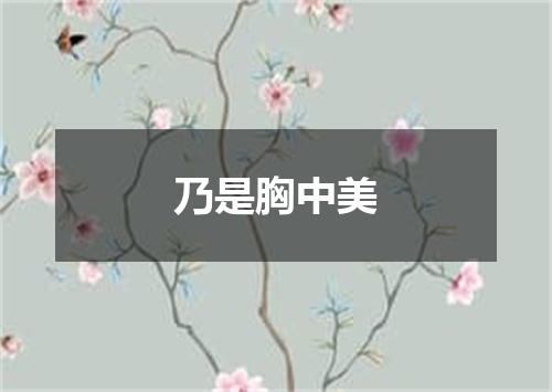 乃是胸中美