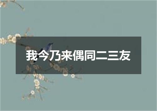 我今乃来偶同二三友