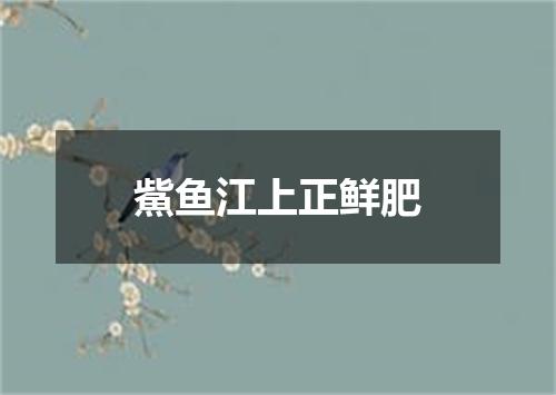 鮆鱼江上正鲜肥