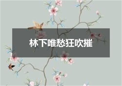 林下唯愁狂吹摧