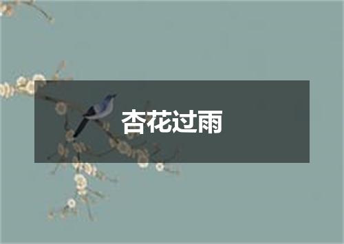 杏花过雨