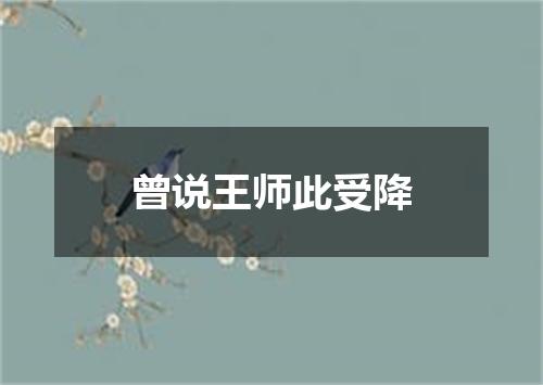 曾说王师此受降