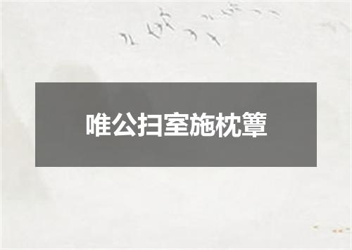 唯公扫室施枕簟