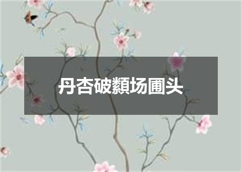 丹杏破纇场圃头