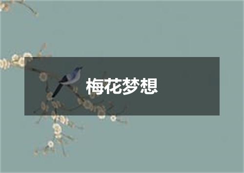 梅花梦想