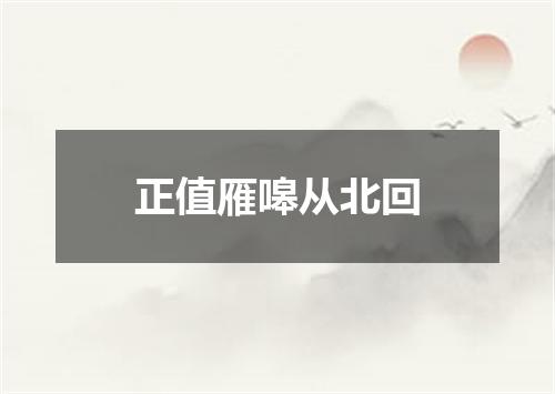 正值雁嗥从北回