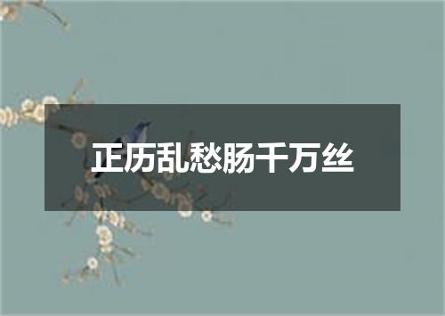 正历乱愁肠千万丝