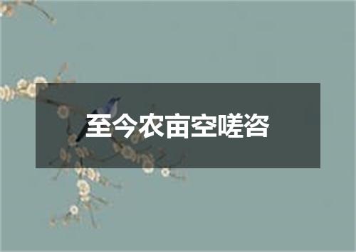 至今农亩空嗟咨