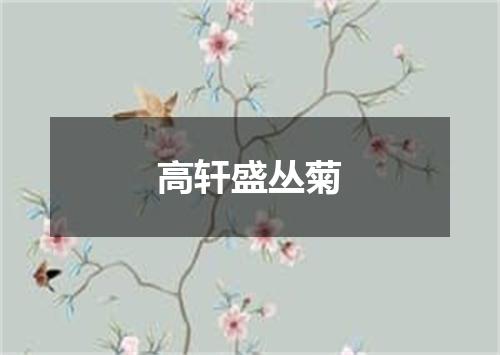 高轩盛丛菊