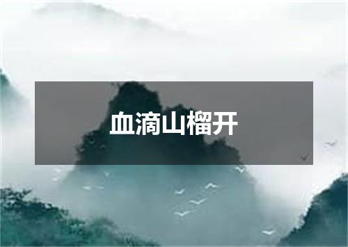 血滴山榴开