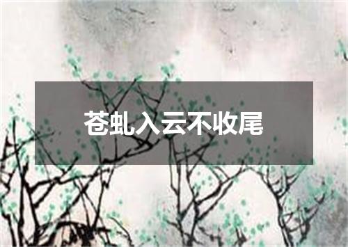 苍虬入云不收尾